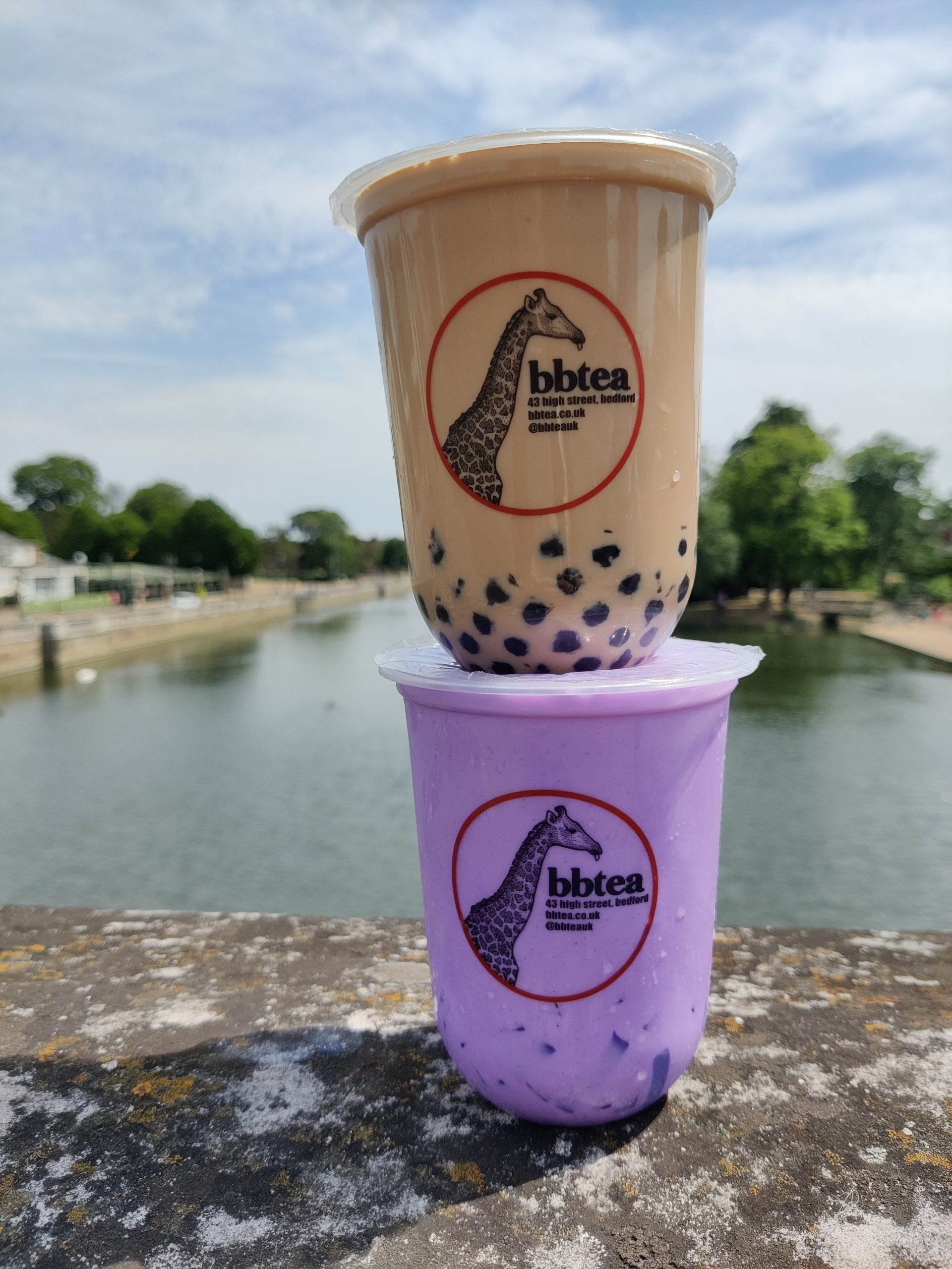 Two refreshing teas by the Bedford river: a creamy milk tea and a vibrant susmmer fruits tea, garnished with boba pearls and tapioca bubbles.